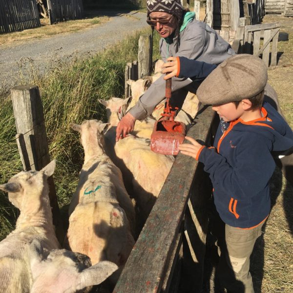 Patagonia Trip Experience