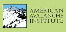 americanavalancheinstitute